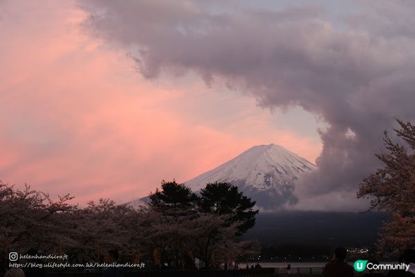 【旅遊日本】冰洞花海富士山 - 河口湖周遊巴士