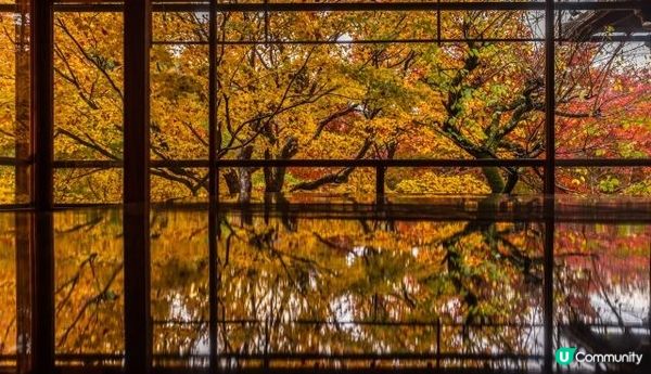 紅葉的瑠璃光院