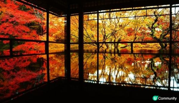 紅葉的瑠璃光院