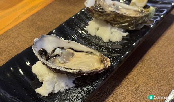 靚景濱燒。沙田火蓮花