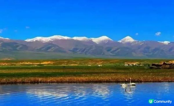 神韵艺术团#Shen Yun Art Troupe