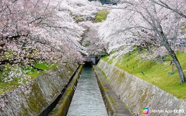 日本・琵琶湖疏水