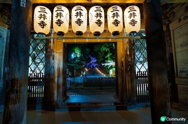 三井寺的夜櫻燈光