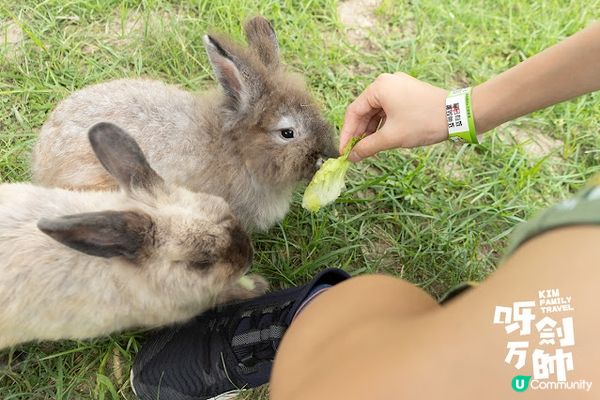久違了農莊親子遊一段日子，今日終於可以再去親親大自然，而且今...