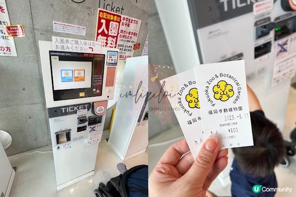 【旅遊】日本北九洲．福岡親子旅遊推薦景點「福岡市動植物園」市區裡的動物園