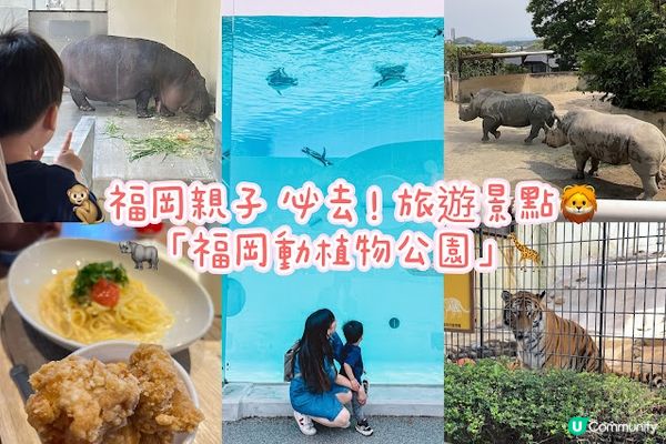 【旅遊】日本北九洲．福岡親子旅遊推薦景點「福岡市動植物園」市區裡的動物園