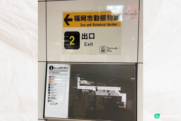 【旅遊】日本北九洲．福岡親子旅遊推薦景點「福岡市動植物園」市區裡的動物園