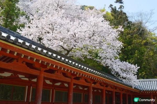 京都・石清水八幡宮