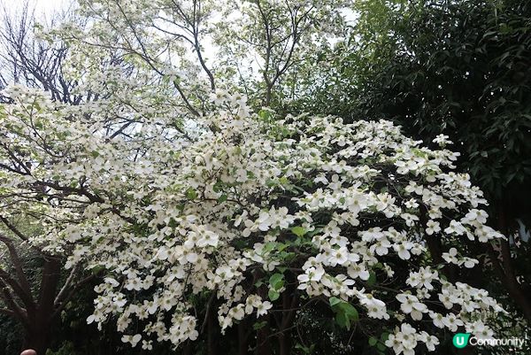 ～今日的行程～