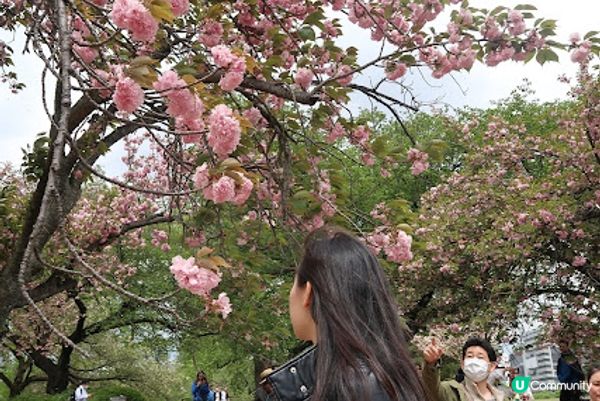 ～今日的行程～