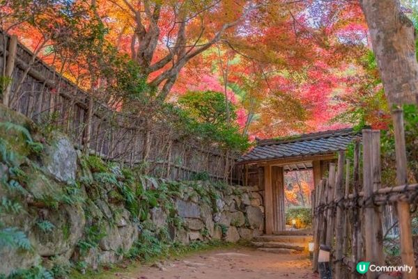 滋賀的教林坊紅葉