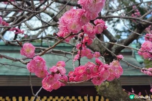 京都・北野天満宮