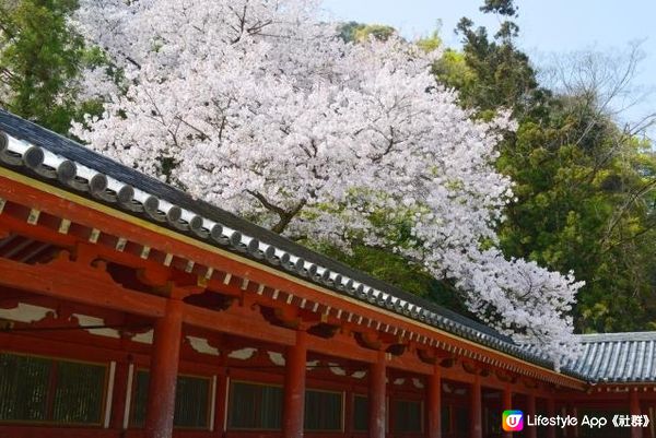 京都・石清水八幡宮
