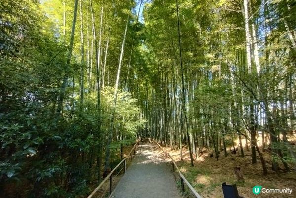 京都・高台寺