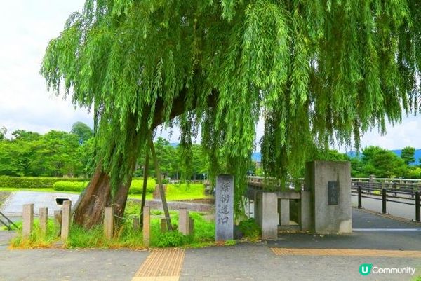 京都的鯖魚街道