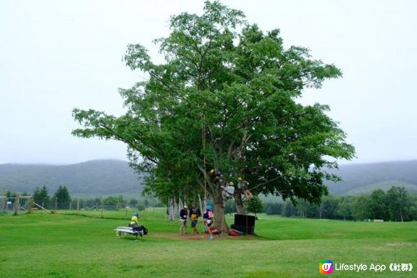 【北海道】夏の星野Tomamu懶人包