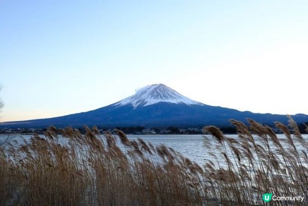 【東京近郊】去河口湖睇*富士山*日落