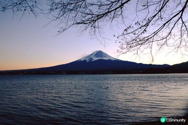 【東京近郊】去河口湖睇*富士山*日落