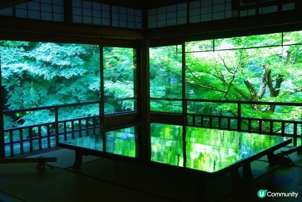 雨後初晴的瑠璃光院，滿眼青楓給人以靜謐之感。