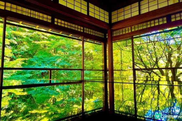 雨後初晴的瑠璃光院，滿眼青楓給人以靜謐之感。