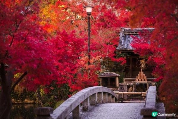 今年秋天的京都