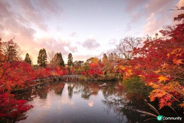 今年秋天的京都