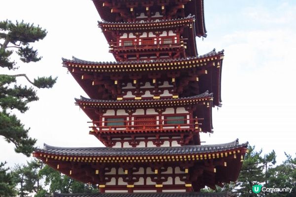 平城京右京六條二坊的藥師寺