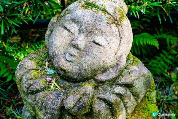 京都・愛宕念佛寺