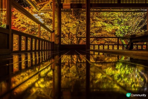 瑠璃光院之紅葉