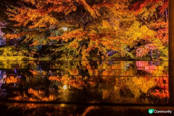 瑠璃光院之紅葉