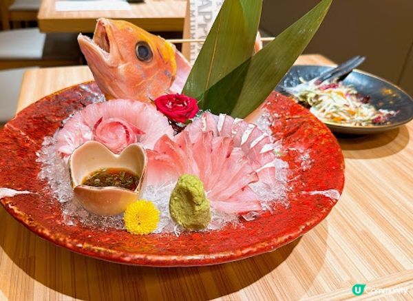 九龍城隱世居酒屋，日本🇯🇵直送花笛鯛一魚二食美味しい😋