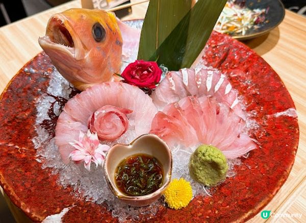 九龍城隱世居酒屋，日本🇯🇵直送花笛鯛一魚二食美味しい😋