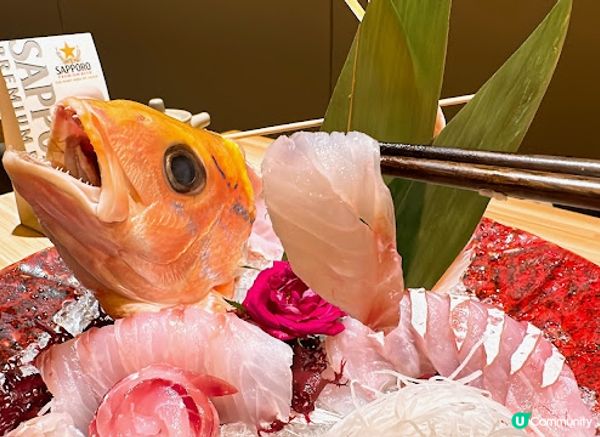 九龍城隱世居酒屋，日本🇯🇵直送花笛鯛一魚二食美味しい😋