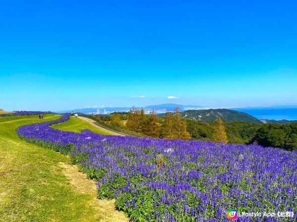 日本之淡路島