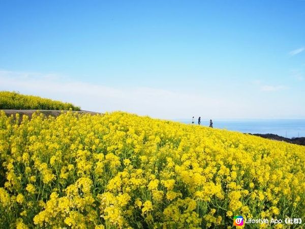 淡路島