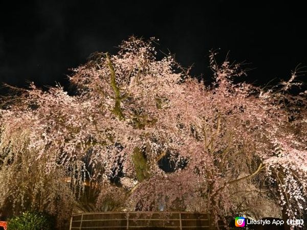 京都的春夜漸漸深沉