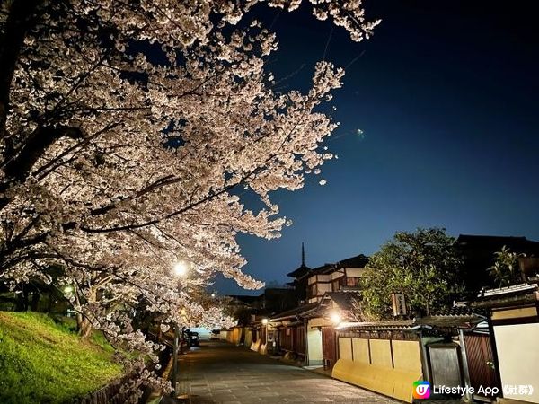 京都的春夜漸漸深沉