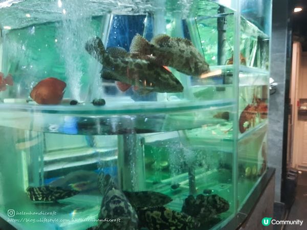 【吃下佐敦】新鮮海鮮惹味中菜 - 神燈海鮮酒家