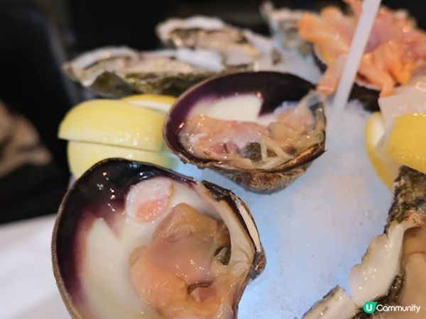 【吃下尖沙咀】帶母親大人品嚐各種鮮味生蠔 - 蠔灣