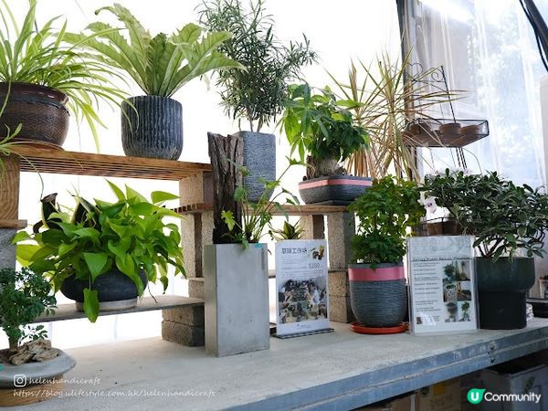 【吃下上水】遠離繁嚣田原風cafe - Innolife