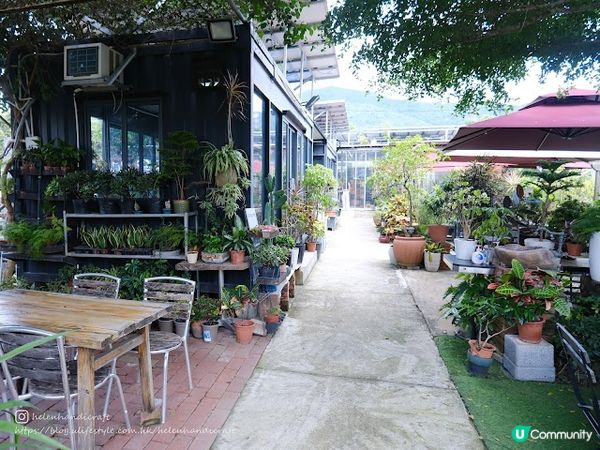 【吃下上水】遠離繁嚣田原風cafe - Innolife