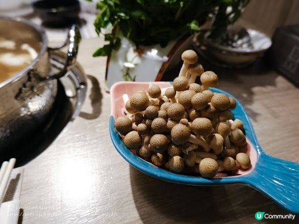 【吃下紅磡】乾淨企理靚料火鍋店 - 辣得棧海鮮火鍋專門店