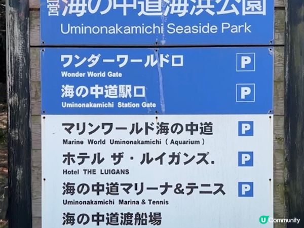 【旅遊】日本北九洲．福岡親子旅遊推薦景點「海之中道海浜公園」「動物の森」「花海」