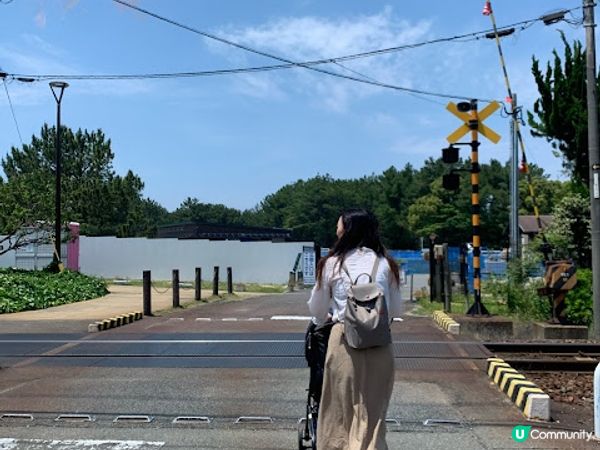 【旅遊】日本北九洲．福岡親子旅遊推薦景點「海之中道海浜公園」「動物の森」「花海」