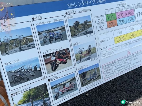【旅遊】日本北九洲．福岡親子旅遊推薦景點「海之中道海浜公園」「動物の森」「花海」