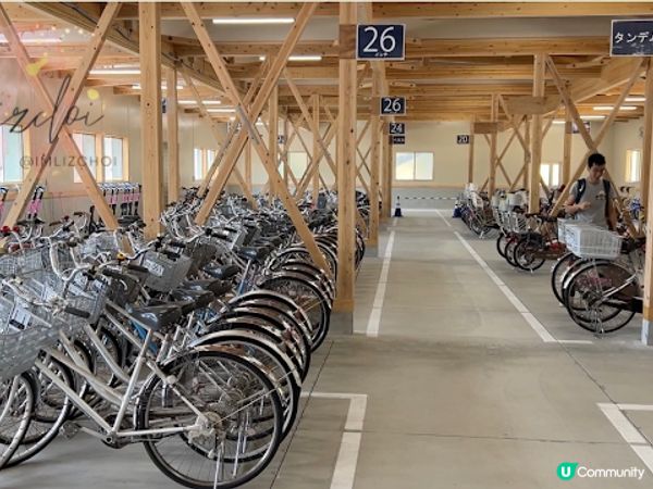 【旅遊】日本北九洲．福岡親子旅遊推薦景點「海之中道海浜公園」「動物の森」「花海」