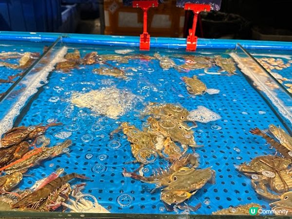 舟市水產自助餐