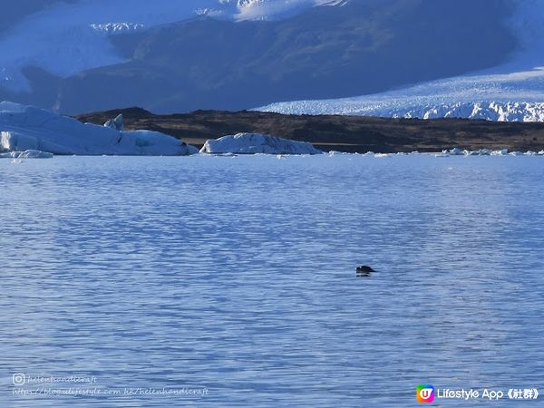 【旅遊冰島】湛藍清澈冰河湖一日遊 - 傑古沙龍冰河湖
