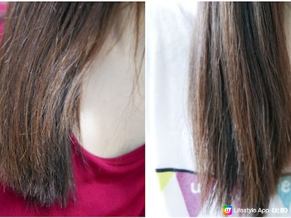 修復受損脆弱髮質꘩ Elastine順滑光澤絲蛋白洗護系列