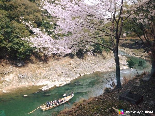 喜歡郊遊式賞櫻？宇治/嵐山/奈良岩哂你！